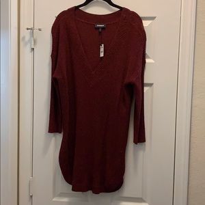 Express Red V-Neck Sweater
